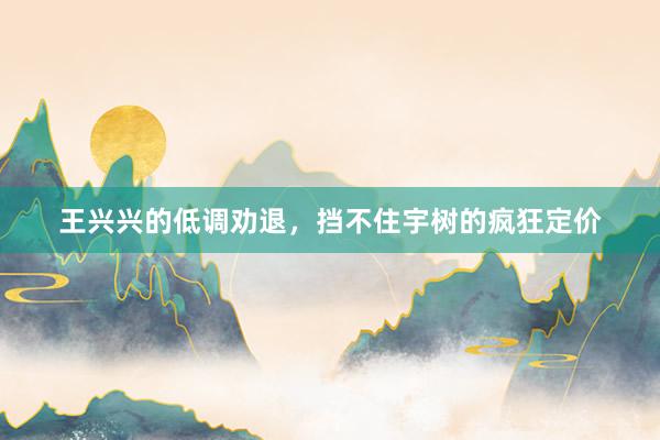 王兴兴的低调劝退，挡不住宇树的疯狂定价