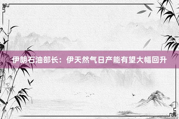 伊朗石油部长：伊天然气日产能有望大幅回升