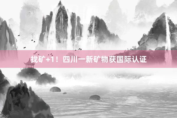 找矿+1！四川一新矿物获国际认证