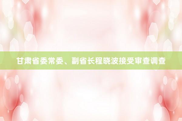 甘肃省委常委、副省长程晓波接受审查调查