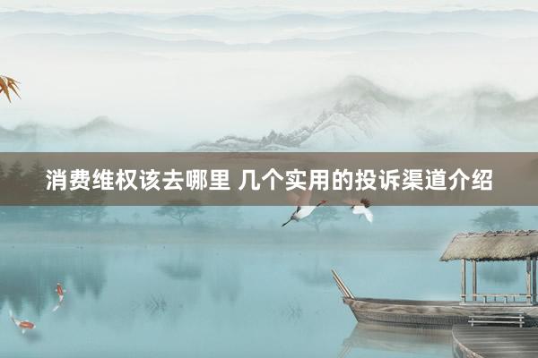 消费维权该去哪里 几个实用的投诉渠道介绍
