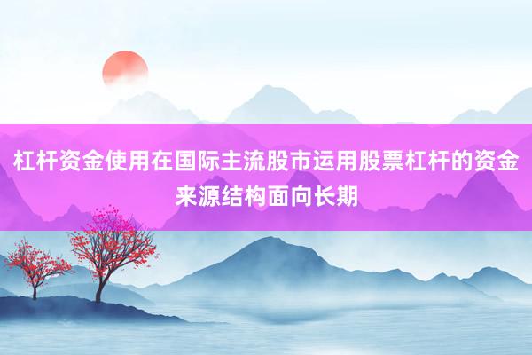 杠杆资金使用在国际主流股市运用股票杠杆的资金来源结构面向长期