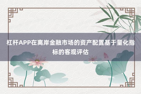 杠杆APP在离岸金融市场的资产配置基于量化指标的客观评估