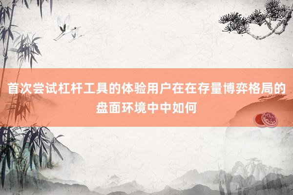 首次尝试杠杆工具的体验用户在在存量博弈格局的盘面环境中中如何