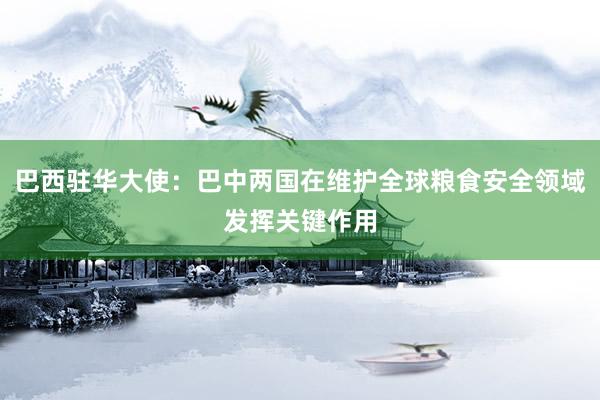 巴西驻华大使：巴中两国在维护全球粮食安全领域发挥关键作用