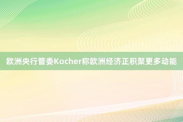 欧洲央行管委Kocher称欧洲经济正积聚更多动能