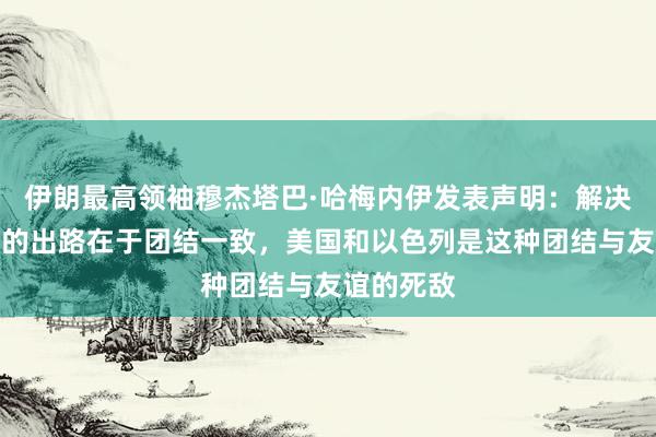 伊朗最高领袖穆杰塔巴·哈梅内伊发表声明：解决地区问题的出路在于团结一致，美国和以色列是这种团结与友谊的死敌