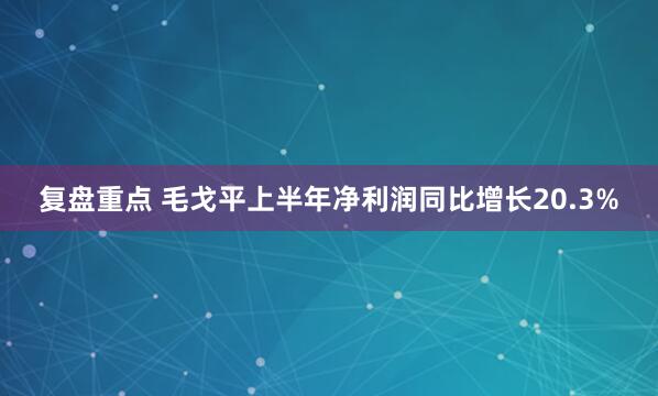 复盘重点 毛戈平上半年净利润同比增长20.3%