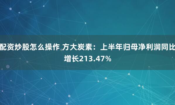 配资炒股怎么操作 方大炭素：上半年归母净利润同比增长213.47%