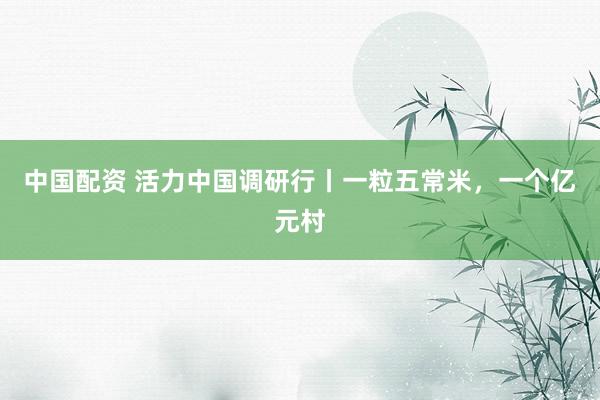 中国配资 活力中国调研行丨一粒五常米，一个亿元村