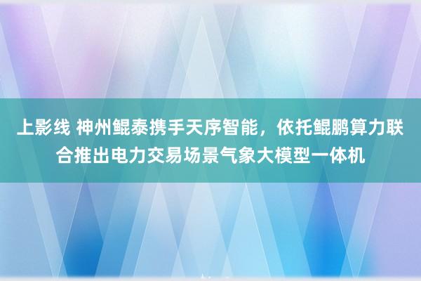 上影线 神州鲲泰携手天序智能，依托鲲鹏算力联合推出电力交易场景气象大模型一体机