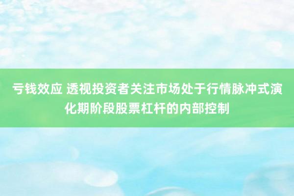 亏钱效应 透视投资者关注市场处于行情脉冲式演化期阶段股票杠杆的内部控制