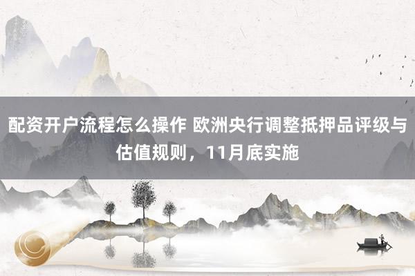 配资开户流程怎么操作 欧洲央行调整抵押品评级与估值规则，11月底实施