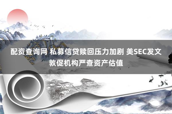 配资查询网 私募信贷赎回压力加剧 美SEC发文敦促机构严查资产估值