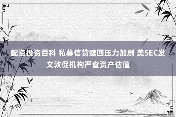 配资投资百科 私募信贷赎回压力加剧 美SEC发文敦促机构严查资产估值