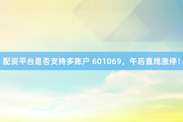 配资平台是否支持多账户 601069，午后直线涨停！