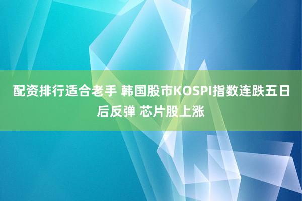配资排行适合老手 韩国股市KOSPI指数连跌五日后反弹 芯片股上涨