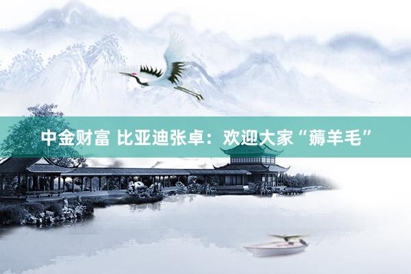 中金财富 比亚迪张卓：欢迎大家“薅羊毛”
