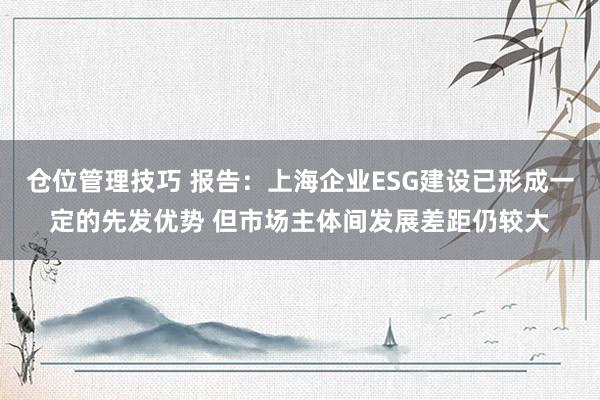 仓位管理技巧 报告：上海企业ESG建设已形成一定的先发优势 但市场主体间发展差距仍较大